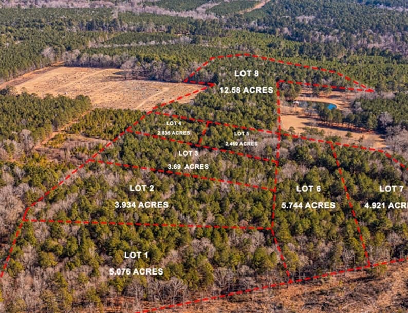 Claiborne Parish, LA (Haynesville)40 Acres · 8