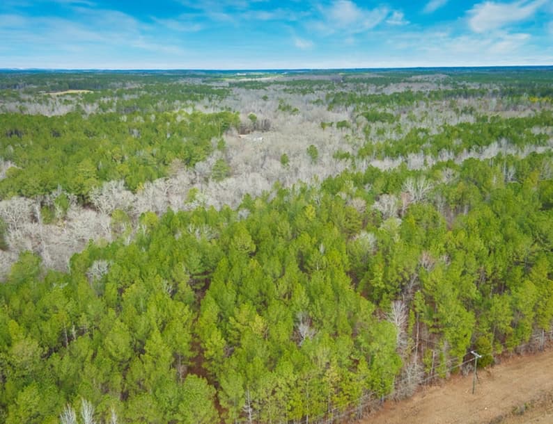 Crawford County, GA (Macon)50 Acres · 5 Lots