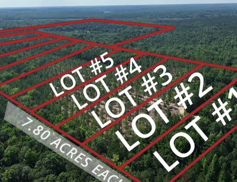 Lee County, AL (Auburn)120 Acres · 11 Lots