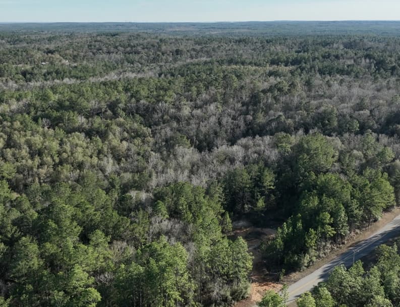 Washington County, AL (McIntosh)57 Acres · 8 L