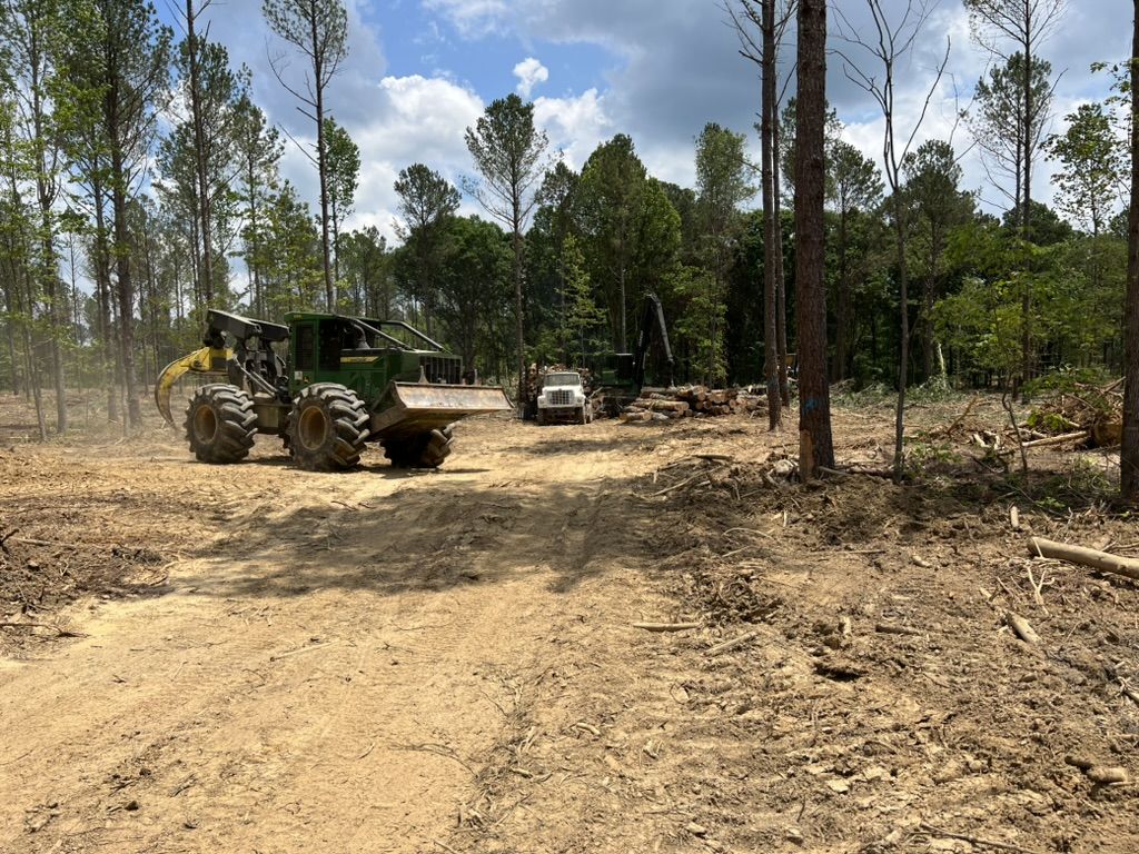 Timber harvest during development